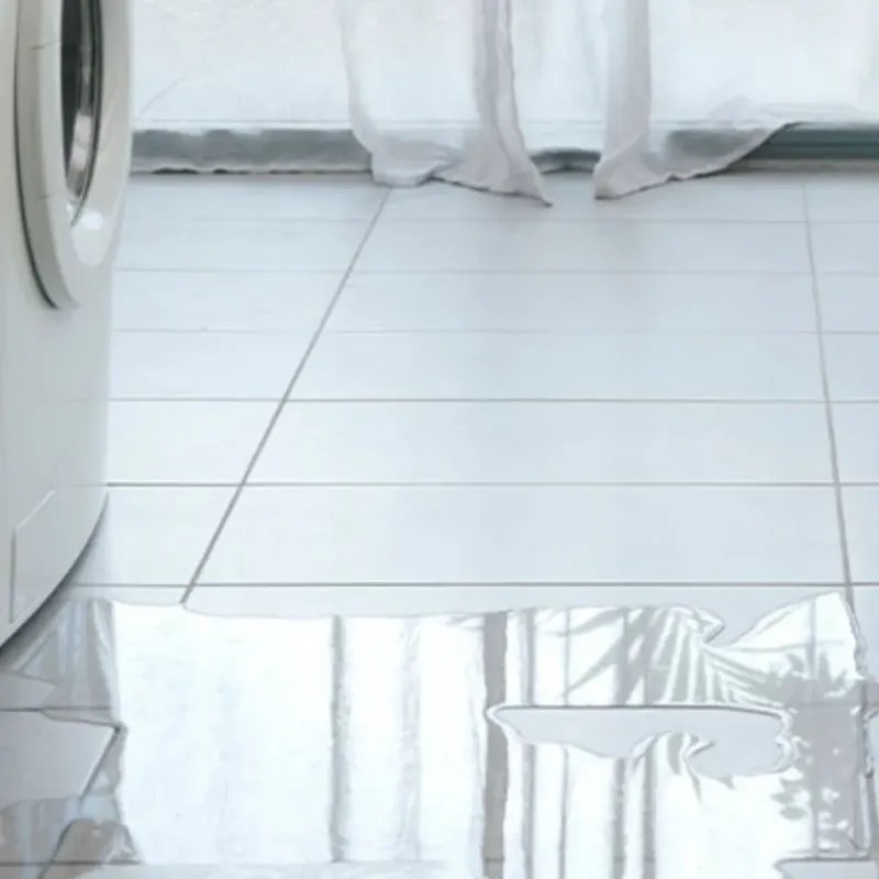 Appliance Leak Cleanup in Mount Plymouth, FL
