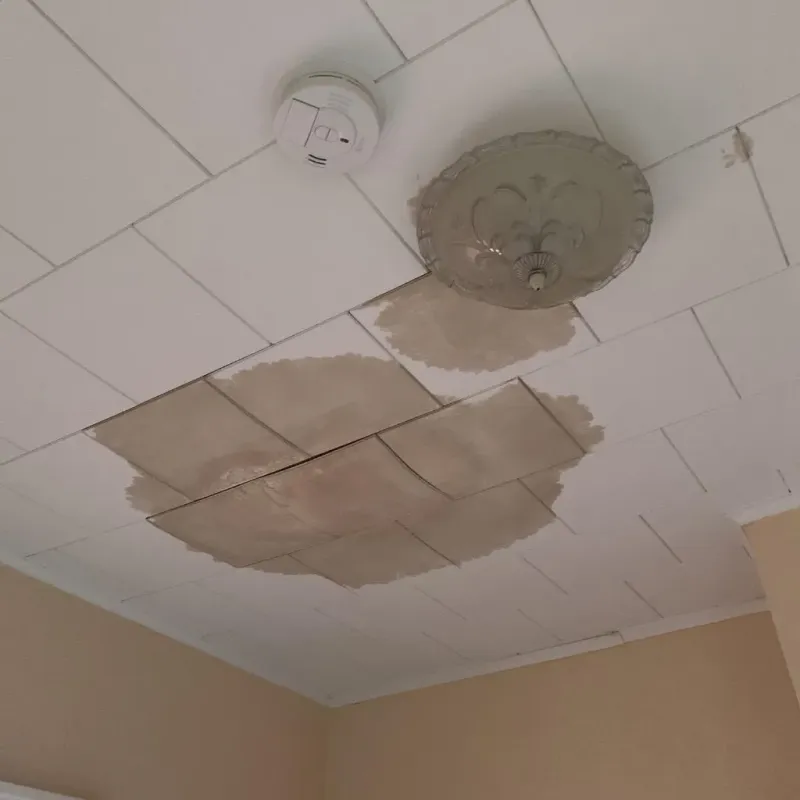 Ceiling Water Damage Repair in Mount Plymouth, FL